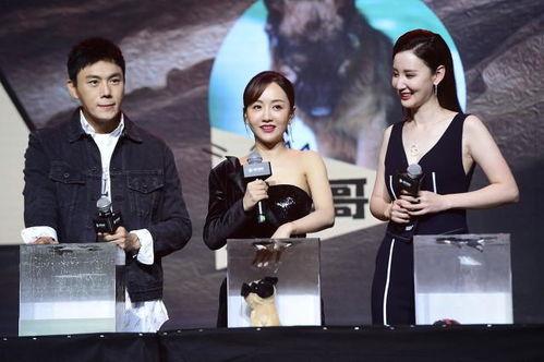 娱乐圈近期吃瓜汇总