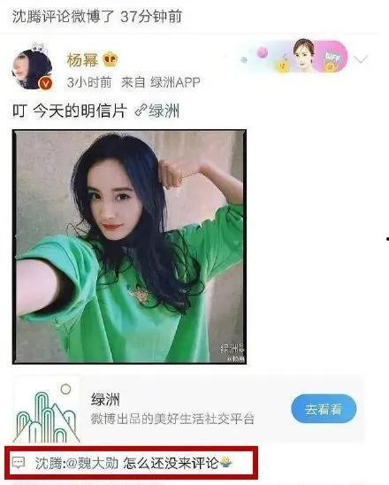 娱乐吃瓜评论怎么写吸引人,吃瓜群众热议,明星幕后故事大曝光!